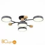 Люстра Evoluce Faema SLE6006-702-04