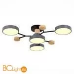 Люстра Evoluce Faema SLE6006-702-04 - Фото 1