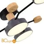 Люстра Evoluce Faema SLE6006-702-04 - Фото 3