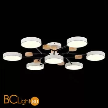 Люстра Evoluce Faema SLE6006-502-07 - Фото 4