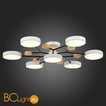 Люстра Evoluce Faema SLE6006-502-07 - Фото 5