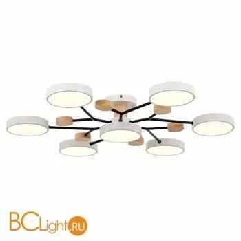 Люстра Evoluce Faema SLE6006-502-07