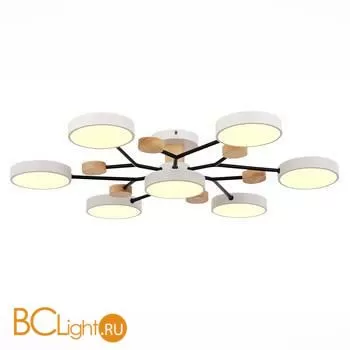 Люстра Evoluce Faema SLE6006-502-07 - Фото 1