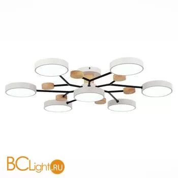 Люстра Evoluce Faema SLE6006-502-07 - Фото 2