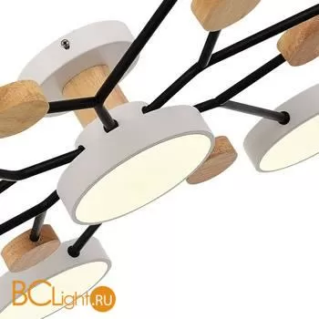 Люстра Evoluce Faema SLE6006-502-07 - Фото 3