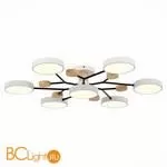 Люстра Evoluce Faema SLE6006-502-07