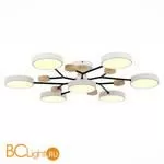 Люстра Evoluce Faema SLE6006-502-07 - Фото 1