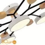 Люстра Evoluce Faema SLE6006-502-07 - Фото 3