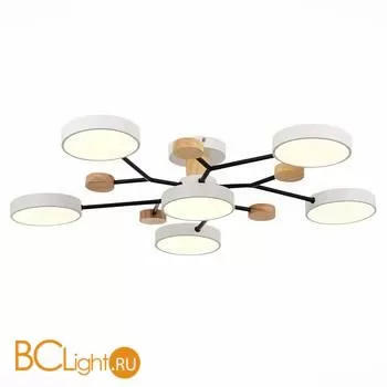 Люстра Evoluce Faema SLE6006-502-06