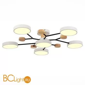 Люстра Evoluce Faema SLE6006-502-06 - Фото 1