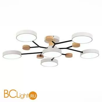 Люстра Evoluce Faema SLE6006-502-06 - Фото 2