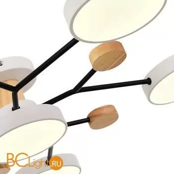 Люстра Evoluce Faema SLE6006-502-06 - Фото 3