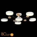 Люстра Evoluce Faema SLE6006-502-06 - Фото 4