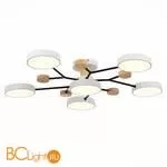 Люстра Evoluce Faema SLE6006-502-06