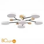 Люстра Evoluce Faema SLE6006-502-06 - Фото 0