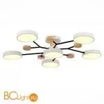 Люстра Evoluce Faema SLE6006-502-06 - Фото 1