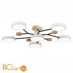 Люстра Evoluce Faema SLE6006-502-06 - Фото 2