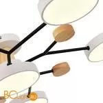 Люстра Evoluce Faema SLE6006-502-06 - Фото 3