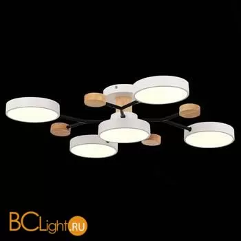 Люстра Evoluce Faema SLE6006-502-05 - Фото 4