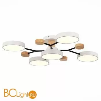 Люстра Evoluce Faema SLE6006-502-05