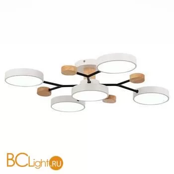 Люстра Evoluce Faema SLE6006-502-05 - Фото 2