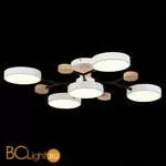 Люстра Evoluce Faema SLE6006-502-05 - Фото 4