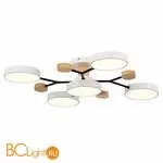 Люстра Evoluce Faema SLE6006-502-05