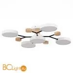 Люстра Evoluce Faema SLE6006-502-05 - Фото 0