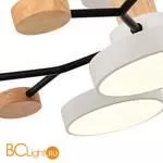 Люстра Evoluce Faema SLE6006-502-05 - Фото 3