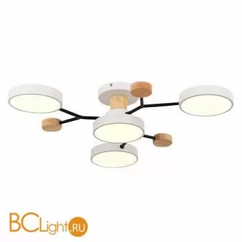 Люстра Evoluce Faema SLE6006-502-04