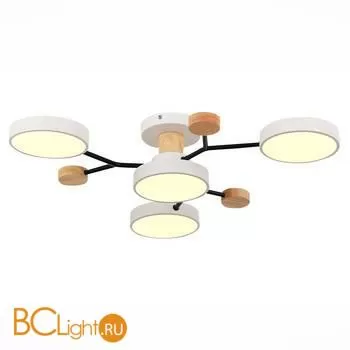 Люстра Evoluce Faema SLE6006-502-04 - Фото 1