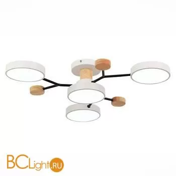 Люстра Evoluce Faema SLE6006-502-04 - Фото 2