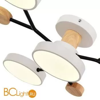 Люстра Evoluce Faema SLE6006-502-04 - Фото 3