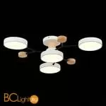 Люстра Evoluce Faema SLE6006-502-04 - Фото 4