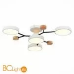 Люстра Evoluce Faema SLE6006-502-04