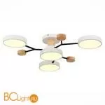 Люстра Evoluce Faema SLE6006-502-04 - Фото 1