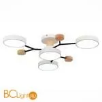 Люстра Evoluce Faema SLE6006-502-04 - Фото 2