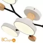 Люстра Evoluce Faema SLE6006-502-04 - Фото 3