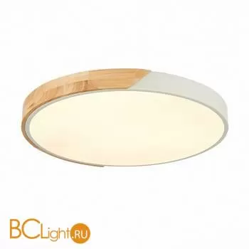 Потолочный светильник Evoluce Festa SLE200952-01 - Фото 1