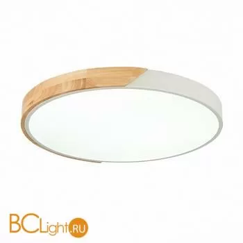 Потолочный светильник Evoluce Festa SLE200952-01 - Фото 2