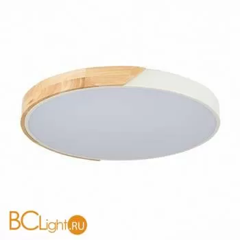 Потолочный светильник Evoluce Festa SLE200952-01 - Фото 3