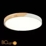 Потолочный светильник Evoluce Festa SLE200952-01