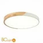 Потолочный светильник Evoluce Festa SLE200952-01 - Фото 0