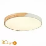 Потолочный светильник Evoluce Festa SLE200952-01 - Фото 1