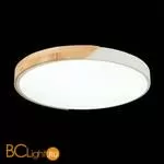 Потолочный светильник Evoluce Festa SLE200952-01 - Фото 5