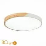 Потолочный светильник Evoluce Festa SLE200952-01 - Фото 2