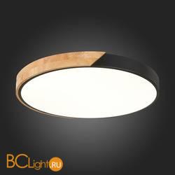 Потолочный светильник Evoluce Festa SLE200942-01