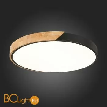 Потолочный светильник Evoluce Festa SLE200942-01