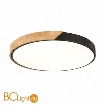 Потолочный светильник Evoluce Festa SLE200942-01 - Фото 0