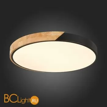 Потолочный светильник Evoluce Festa SLE200942-01 - Фото 8